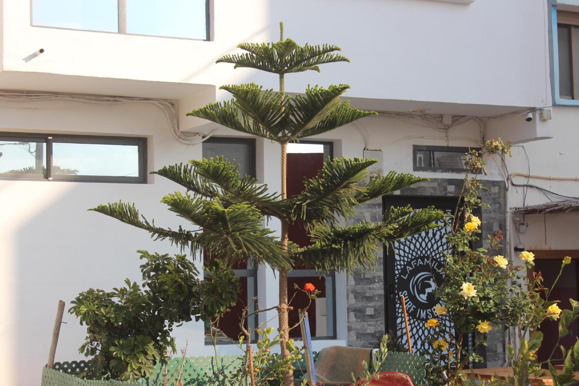 Lafamilia Surf Imsouane Hotel Exterior photo